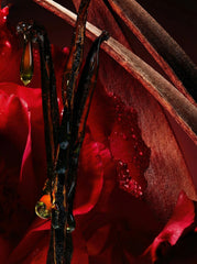 FETISH EXTRAIT DE PARFUM